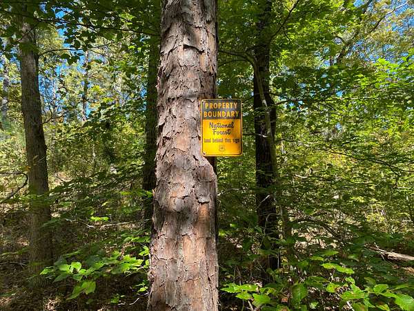 7.54 Acres of Recreational Land for Sale in Ozone, Arkansas