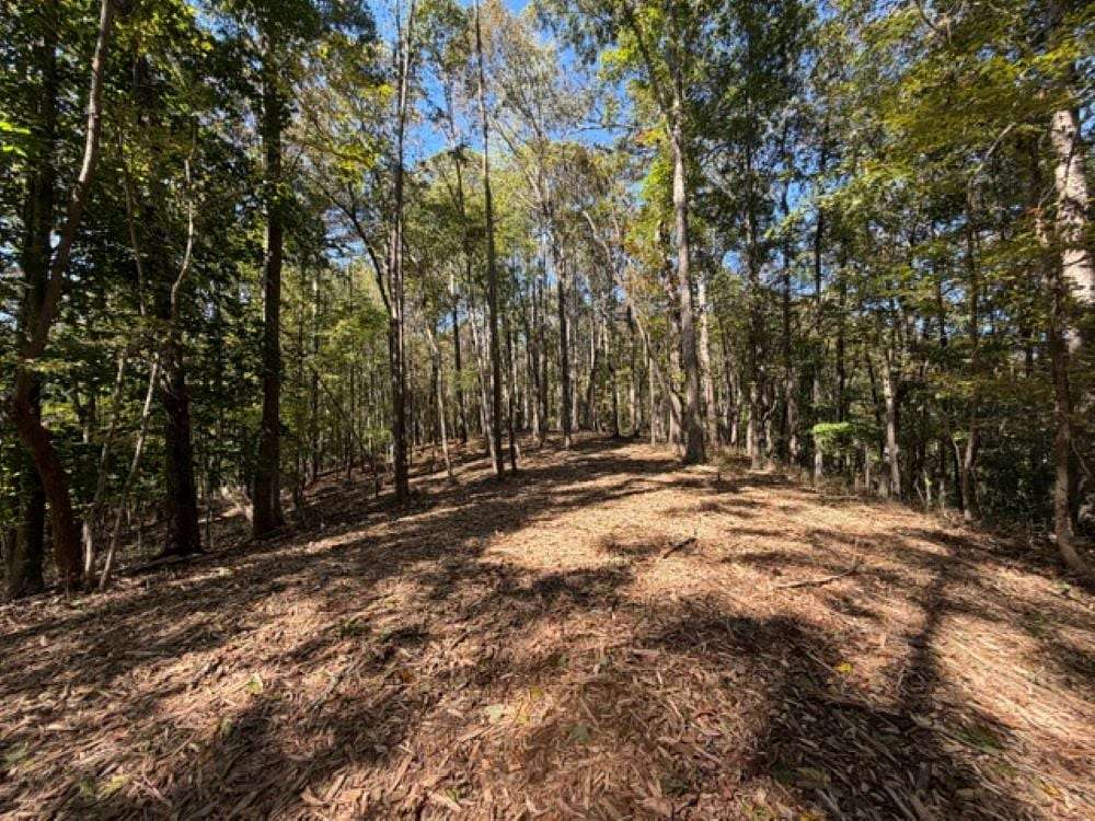 36.5 Acres of Land for Sale in Ball Ground, Georgia
