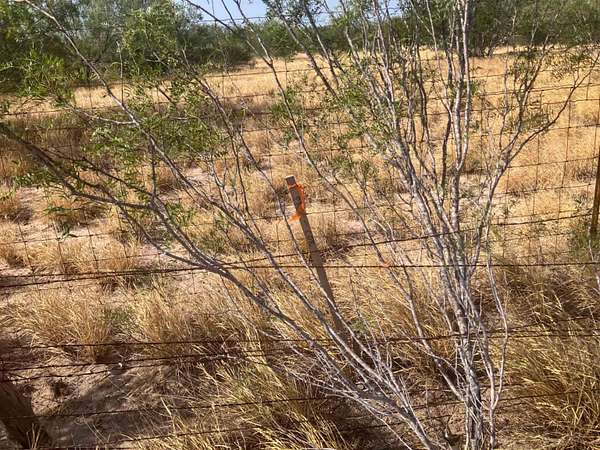 20 Acres of Land for Sale in Laredo, Texas