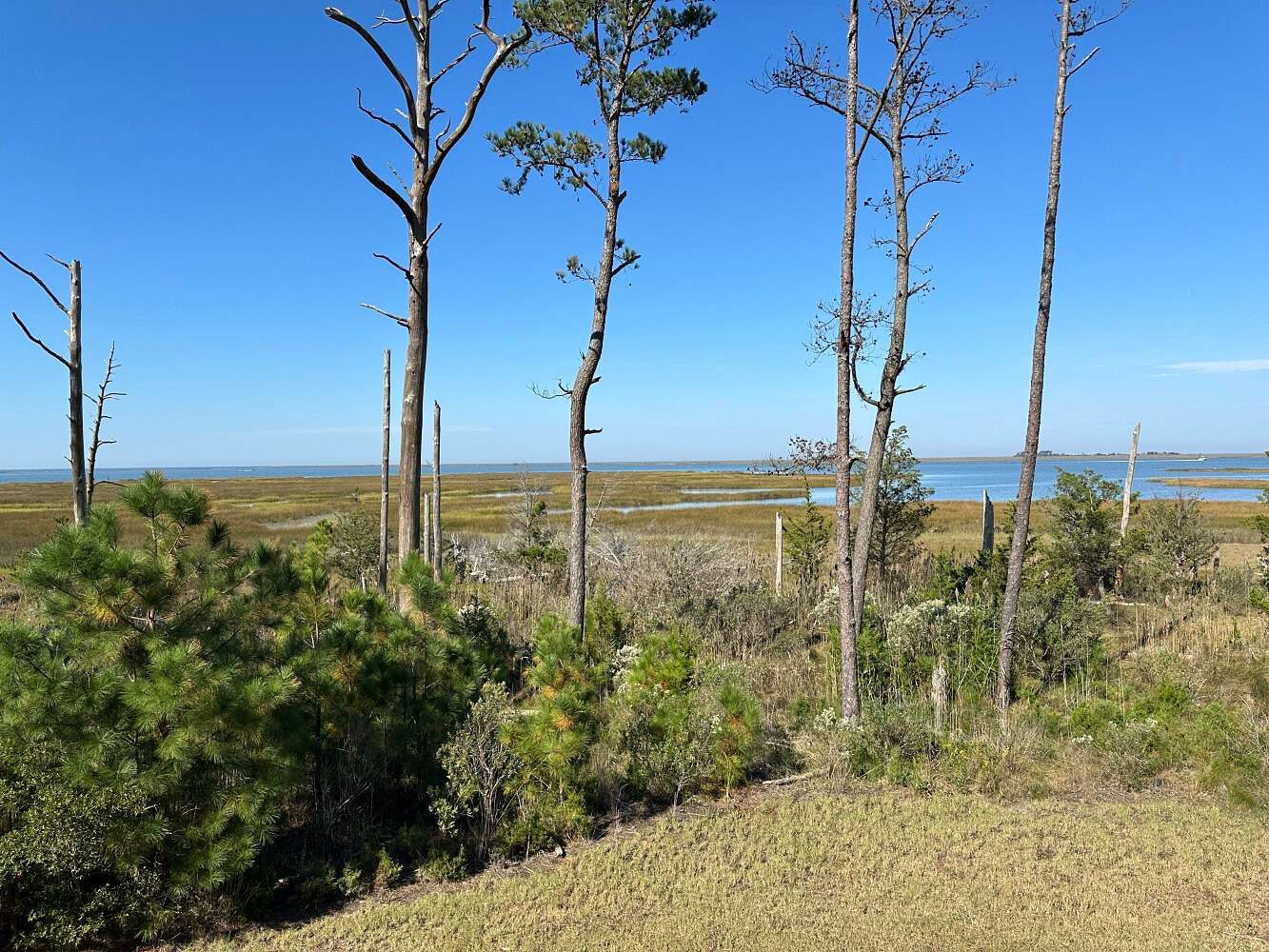 22.4 Acres of Recreational & Residential Land for Sale in Onancock, Virginia