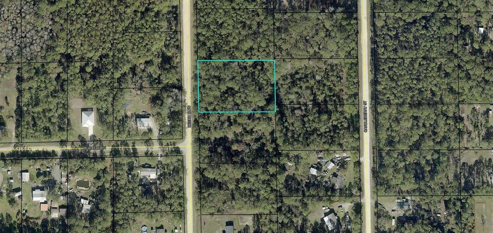 1.17 Acres of Residential Land for Sale in Bunnell, Florida