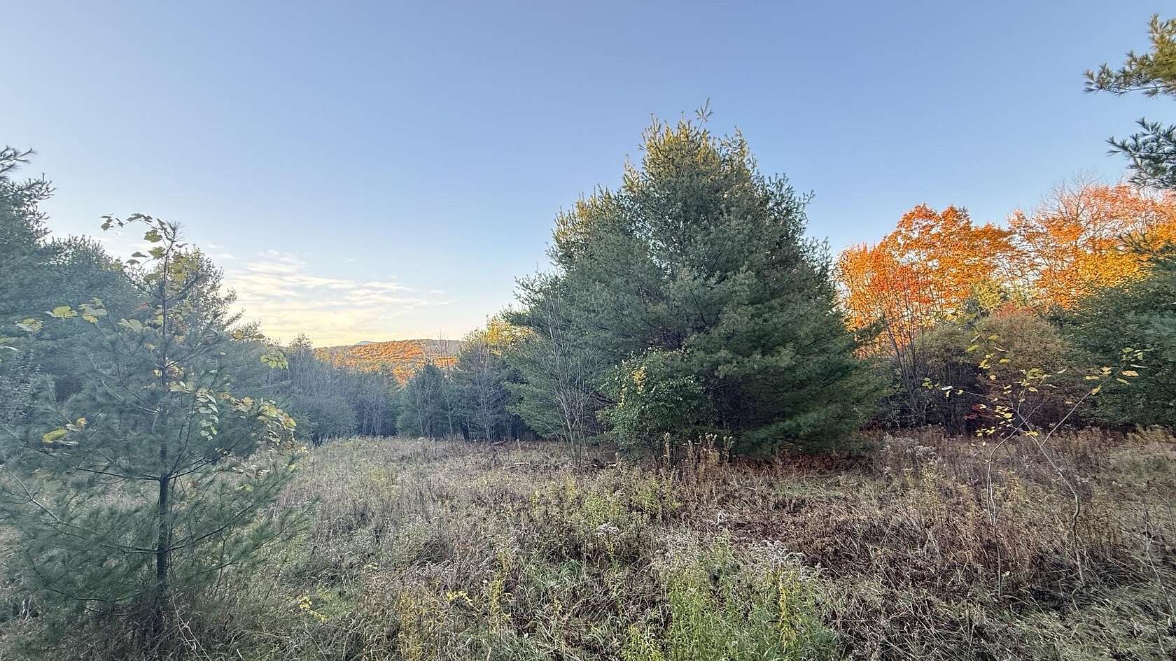 4 Acres of Land for Sale in Wilton, Maine