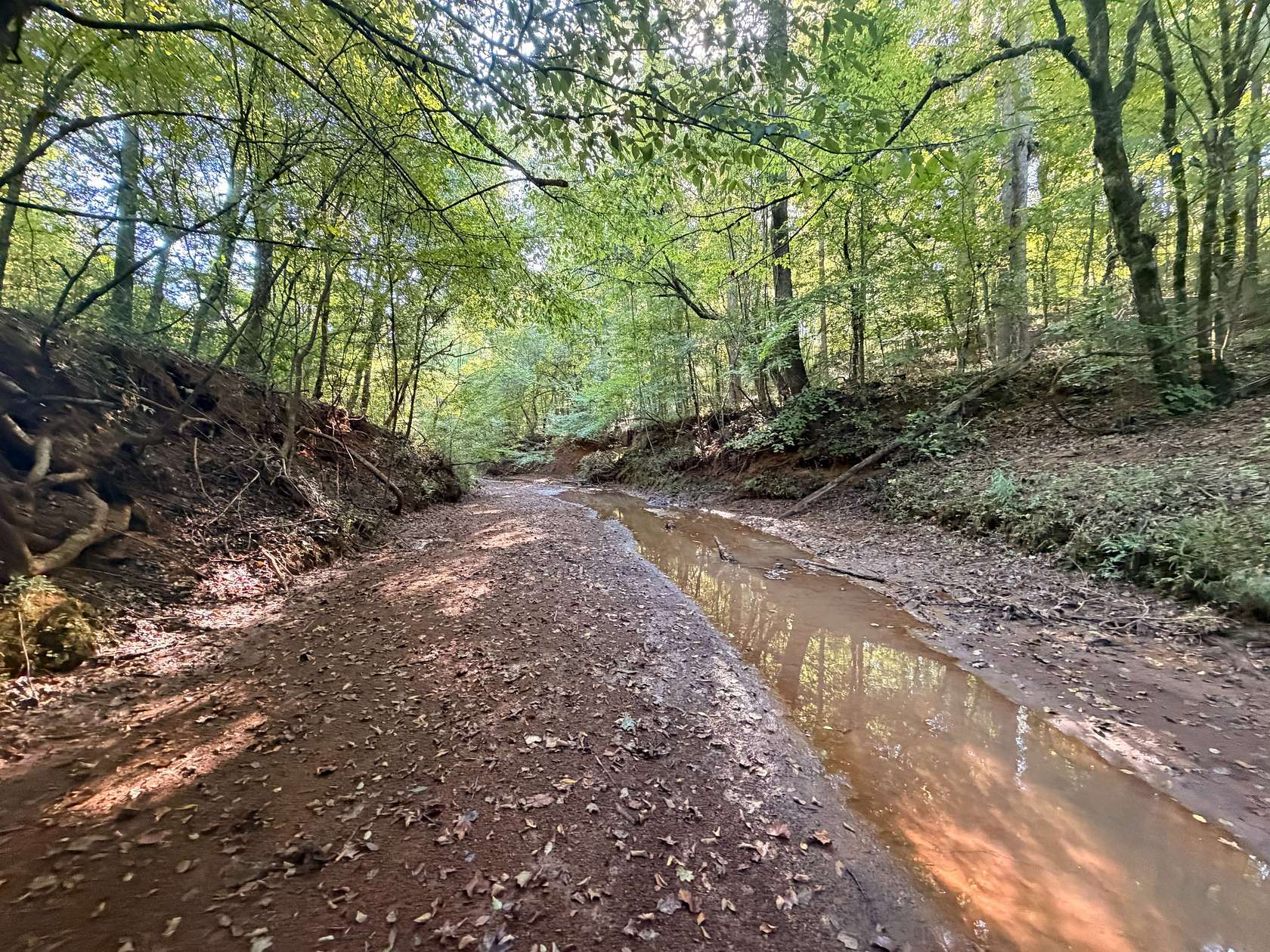 90.4 Acres of Recreational & Residential Land for Sale in Forsyth, Georgia