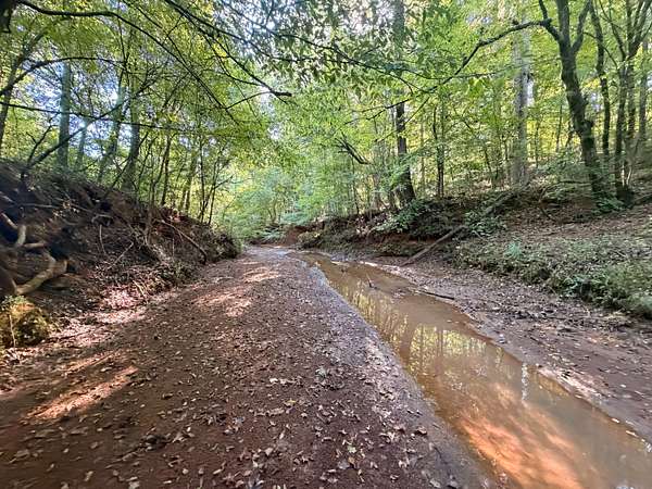 90.4 Acres of Recreational & Residential Land for Sale in Forsyth, Georgia