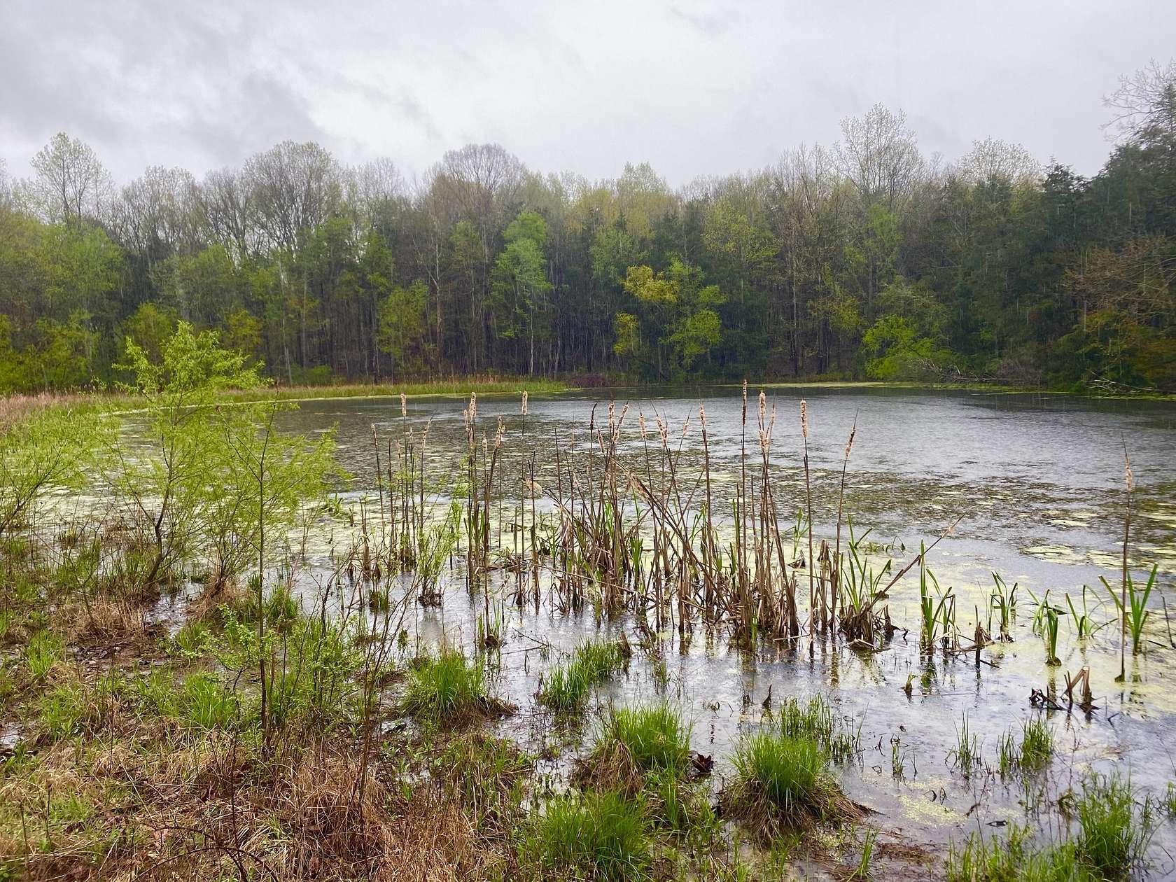 102 Acres of Recreational & Residential Land for Sale in Wartrace, Tennessee