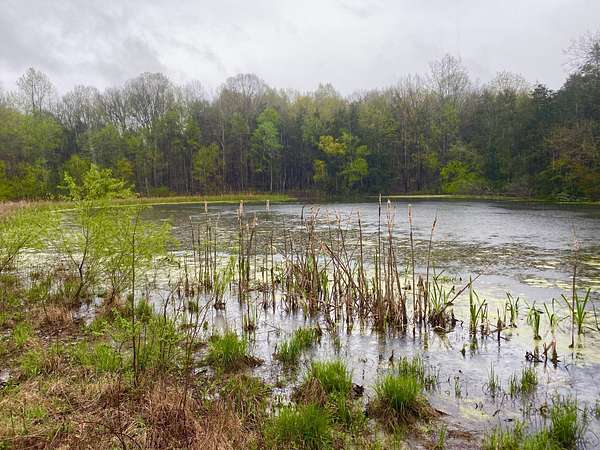 102 Acres of Recreational & Residential Land for Sale in Wartrace, Tennessee