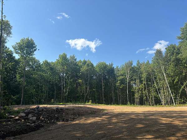 15 Acres of Recreational Land for Sale in Balsam Lake, Wisconsin