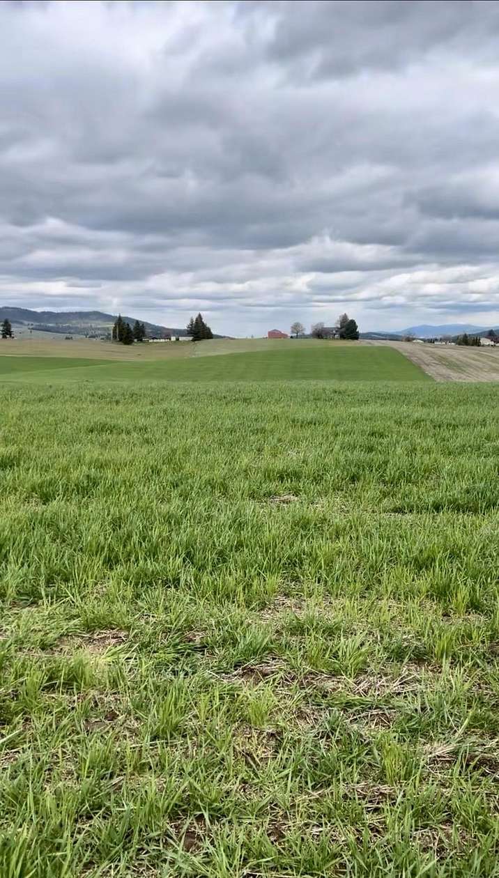 45.2 Acres of Land for Sale in Valleyford, Washington