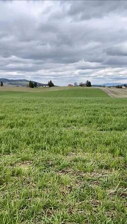 45.2 Acres of Land for Sale in Valleyford, Washington