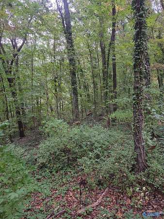 0.41 Acres of Land for Sale in Huntsville, Alabama