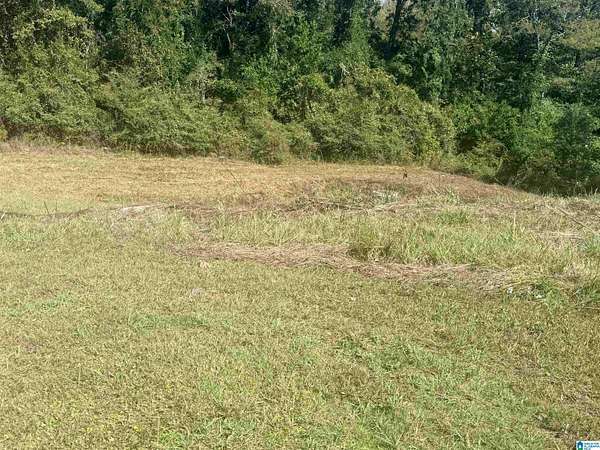 0.68 Acres of Residential Land for Sale in Vestavia Hills, Alabama