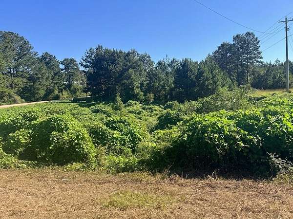 0.99 Acres of Commercial Land for Sale in Ozark, Alabama