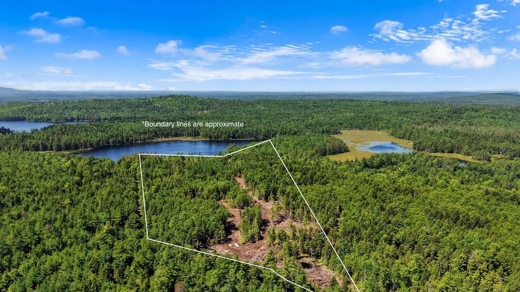 20.4 Acres of Recreational & Residential Land for Sale in Beddington, Maine