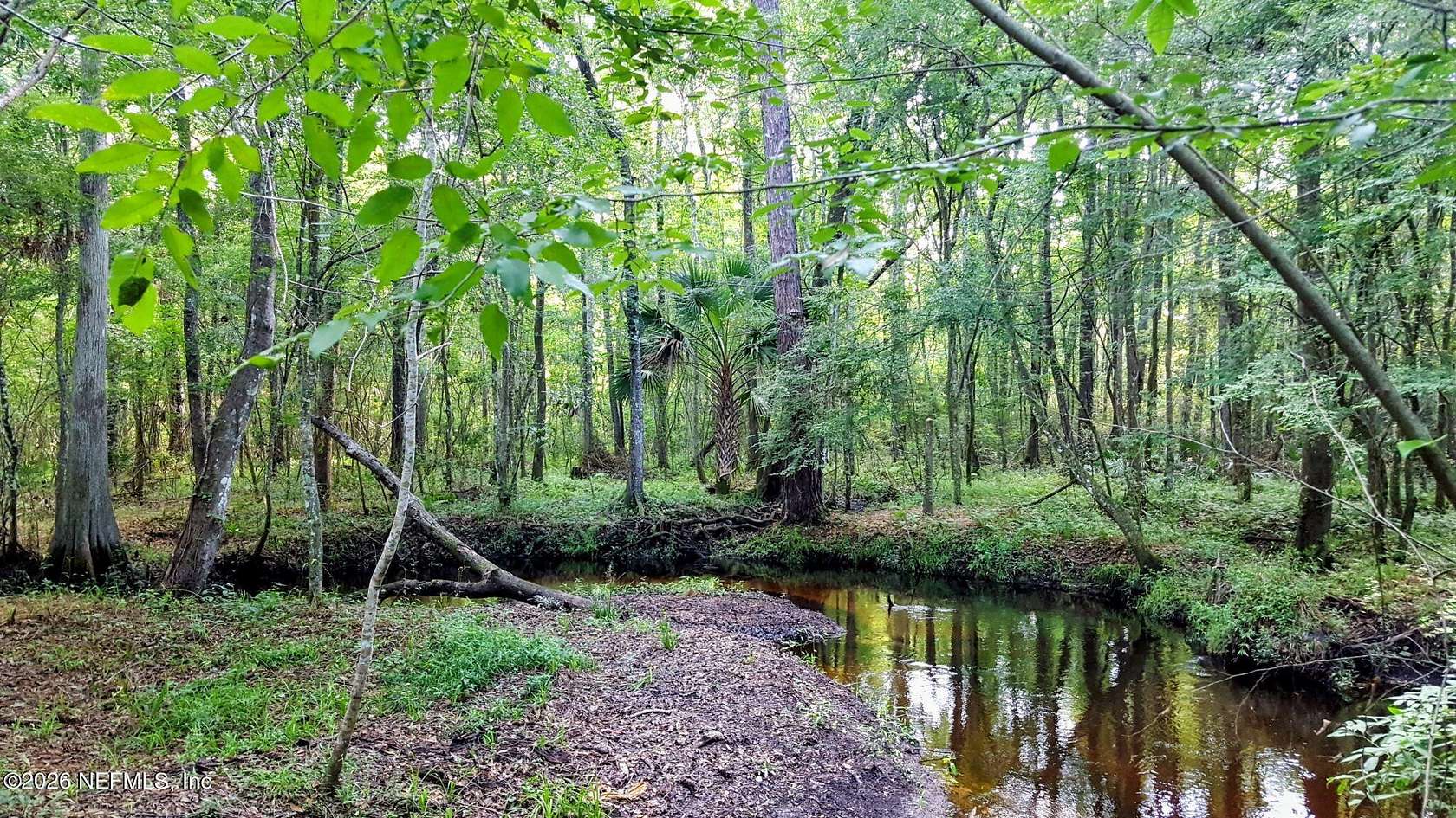 30 Acres of Recreational & Residential Land for Sale in Jacksonville, Florida
