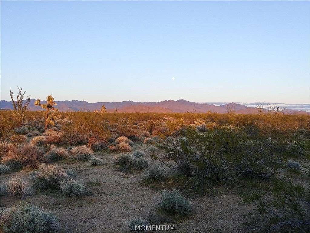 40 Acres of Land for Sale in Yucca, Arizona