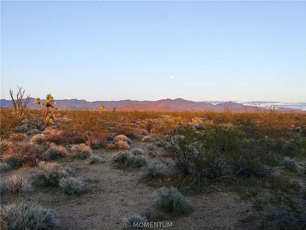 40 Acres of Land for Sale in Yucca, Arizona