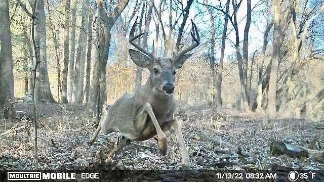 68.7 Acres of Recreational & Residential Land for Sale in Winder, Georgia