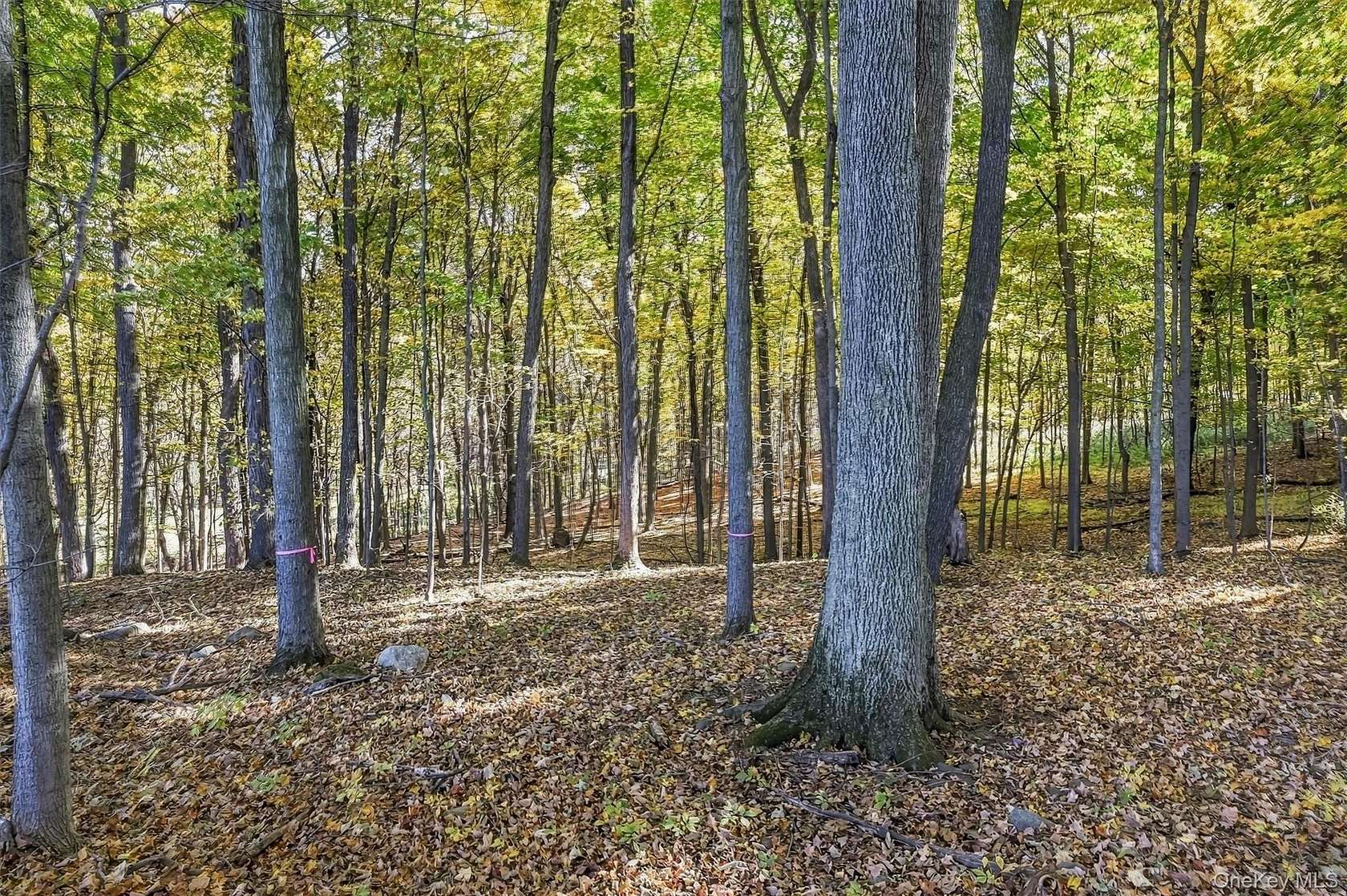 3.9 Acres of Residential Land for Sale in Campbell Hall, New York
