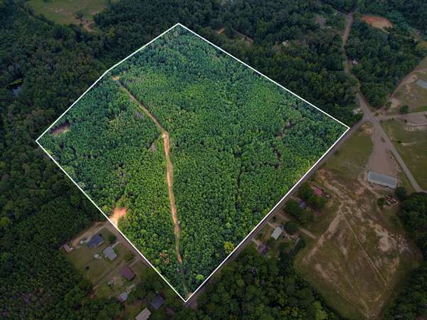 39.2 Acres of Mixed-Use Land for Sale in Kosciusko, Mississippi