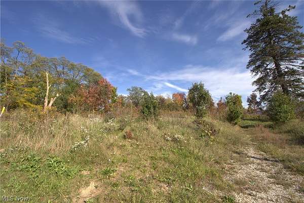 1.77 Acres of Commercial Land for Sale in Brunswick, Ohio