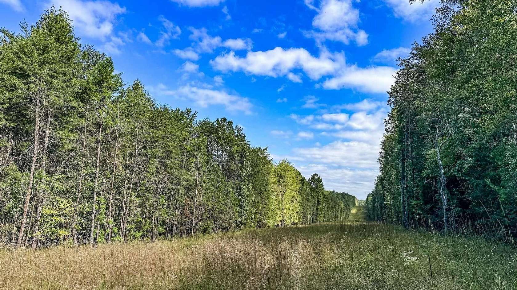 73.5 Acres of Recreational Land for Sale in Spartanburg, South Carolina