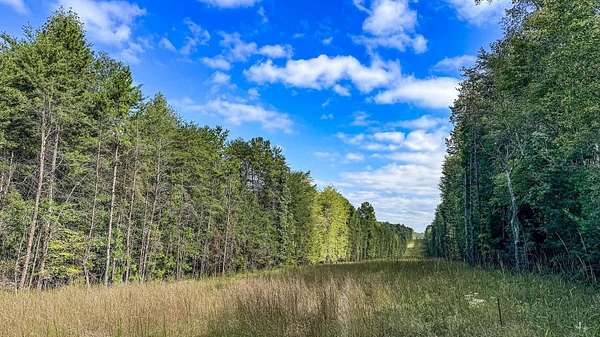 73.5 Acres of Recreational Land for Sale in Spartanburg, South Carolina