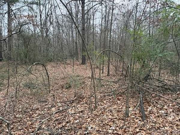 7 Acres of Land for Sale in DeWitt, Arkansas