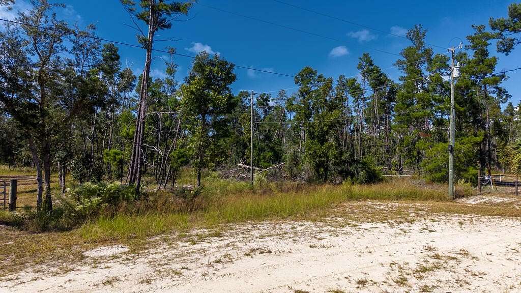 2 Acres of Residential Land for Sale in Keaton Beach, Florida