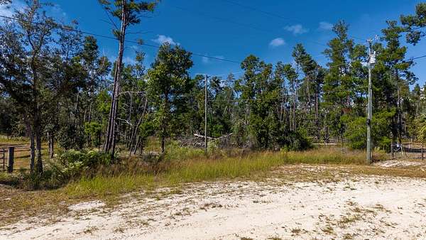 2 Acres of Residential Land for Sale in Keaton Beach, Florida