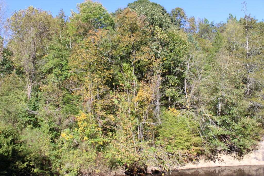 9.69 Acres of Land for Sale in Vernon Hill, Virginia