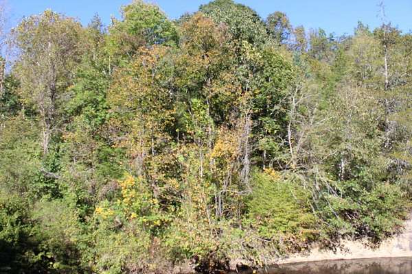 9.69 Acres of Land for Sale in Vernon Hill, Virginia