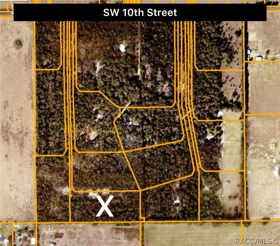 10 Acres of Land for Sale in Dunnellon, Florida