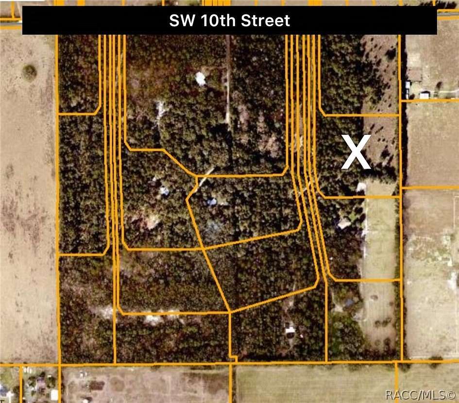 10 Acres of Land for Sale in Dunnellon, Florida