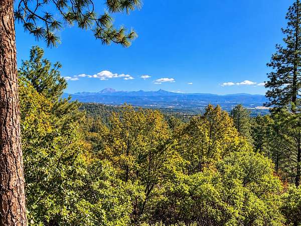 30 Acres of Recreational & Residential Land for Sale in Bella Vista, California