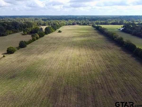 32.2 Acres of Land for Sale in Alba, Texas