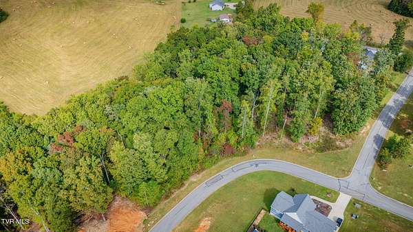 0.68 Acres of Residential Land for Sale in Rutledge, Tennessee