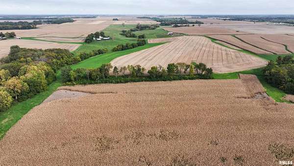 77.8 Acres of Land for Sale in Yates City, Illinois