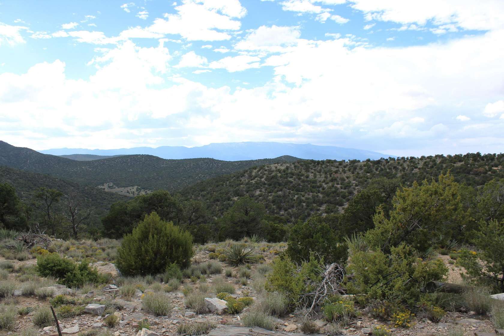 10 Acres of Residential Land for Sale in Golden, New Mexico