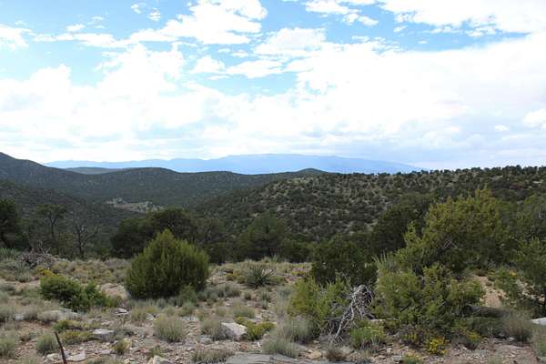 10 Acres of Residential Land for Sale in Golden, New Mexico