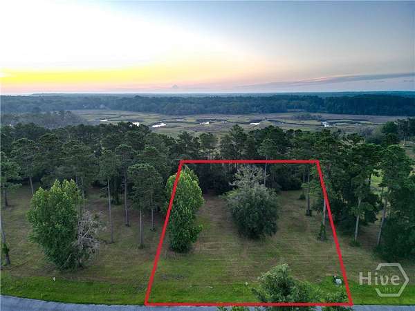 0.64 Acres of Residential Land for Sale in Townsend, Georgia