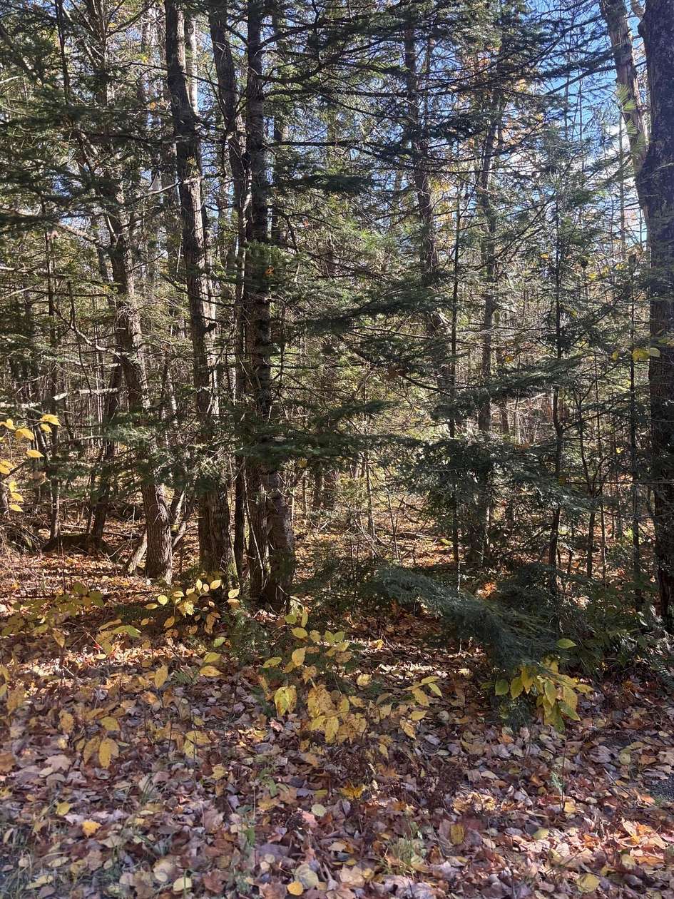10 Acres of Land for Sale in Guilford, Maine