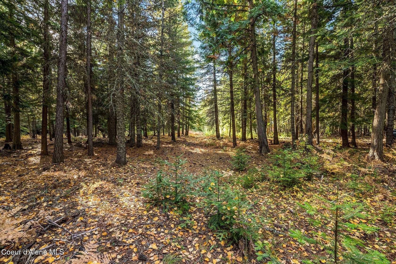 3 Acres of Residential Land for Sale in Naples, Idaho