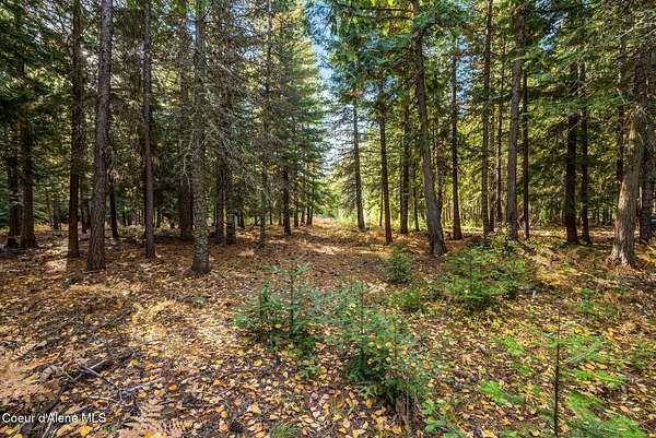 3 Acres of Residential Land for Sale in Naples, Idaho