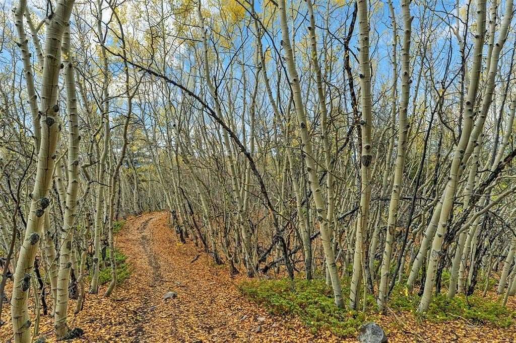 9.8 Acres of Land for Sale in Leadville, Colorado