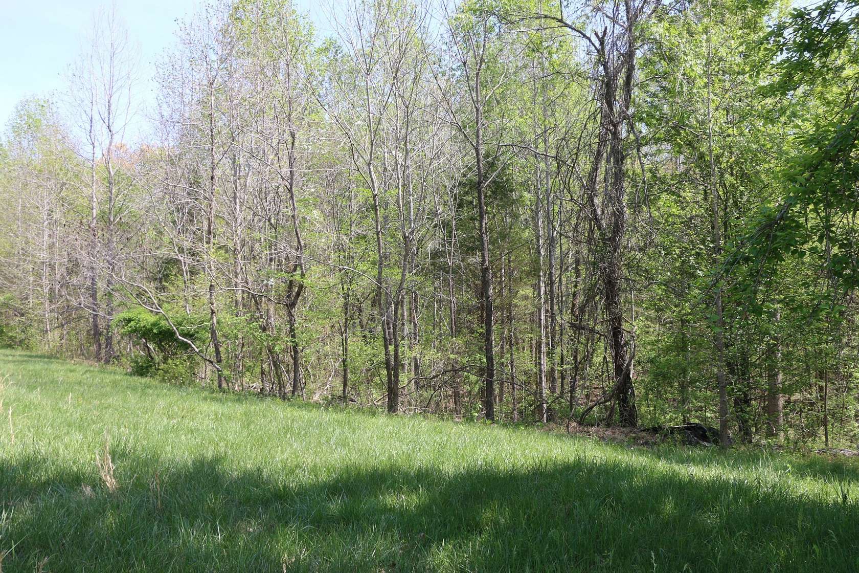 7.28 Acres of Land for Sale in Clarksville, Tennessee