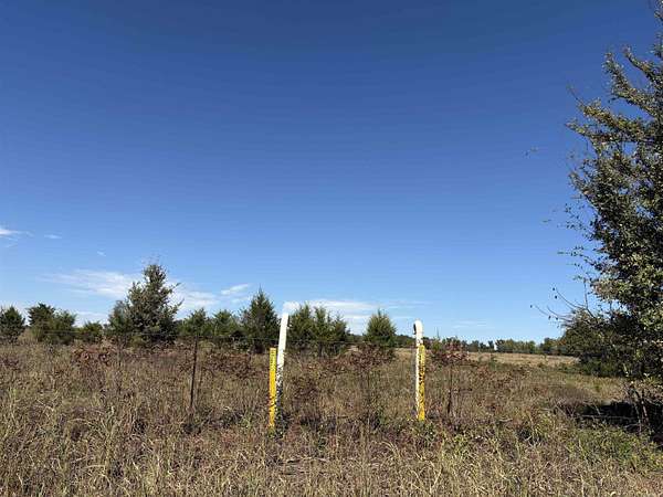 32.2 Acres of Land for Sale in Greenbrier, Arkansas