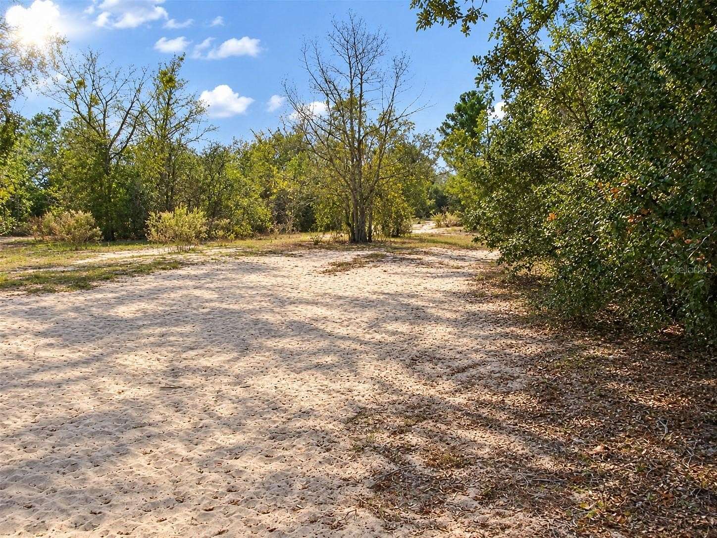 11.5 Acres of Land for Sale in Leesburg, Florida