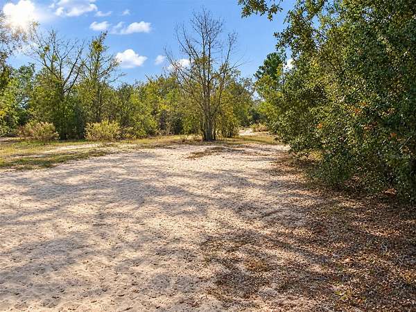 11.5 Acres of Land for Sale in Leesburg, Florida