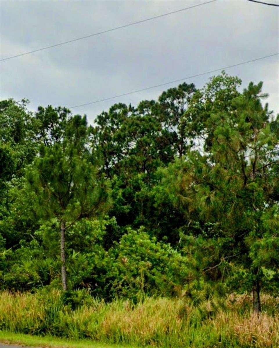0.23 Acres of Residential Land for Sale in Sebring, Florida