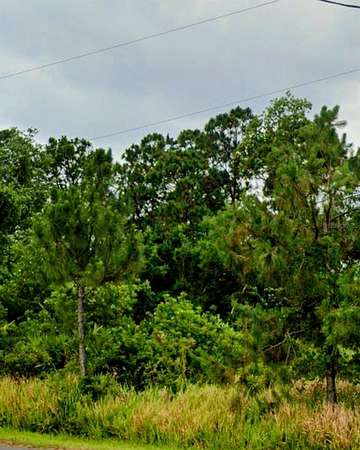 0.23 Acres of Residential Land for Sale in Sebring, Florida
